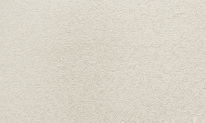 88965e2f1ffc172bbb88af96028817f4