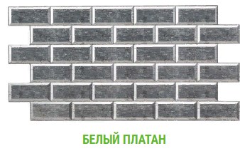 белый платан