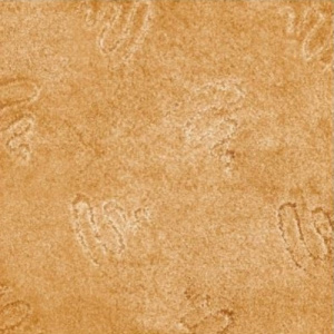 163335-800x800