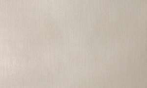 52f17e514cf5a170980cb67536952154