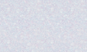 DETAIL_PICTURElPL71675-65