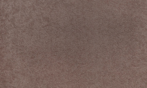 d5cb0f8c61eab0c17612c7a739c2d5b4