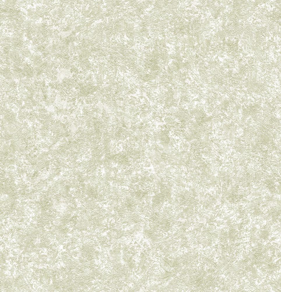 ПАОЛА ФОН 04