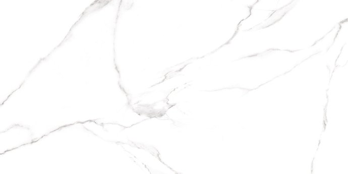 31011_large