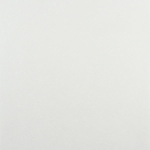 Dzhoj-fon-21_raport-600x600