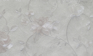 a24c5342021ae548ddacf5de2df399e0