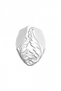 230x345_5010
