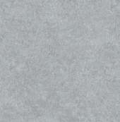 8956-19x