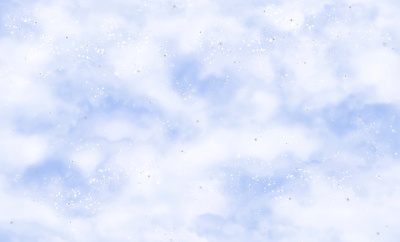 8718-17