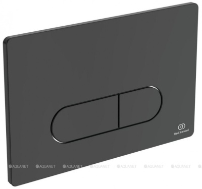 KNOPKA_SMYVA_IDEAL_STANDARD_OLEAS_R0115A6_1