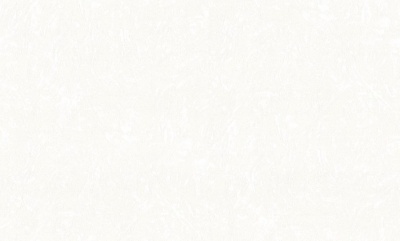 50081