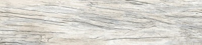 26017_large