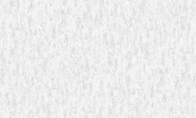 10090