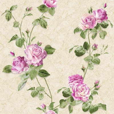 АРИЯ 05