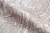 CAT_MACRO_PHOTOgImg_PL71858-48_(4)