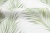 CAT_MACRO_PHOTOpInt_HC71973-17_(4)
