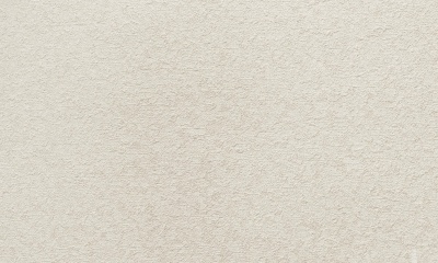 88965e2f1ffc172bbb88af96028817f4