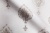 MACRO_PHOTOzImg_PL71774-45_(4)