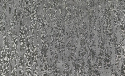 c80ebdb73fb3063dacf10b6acec0af96