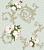 ДЖЕЙН 04