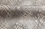 MACRO_PHOTOjImg_PL71778-42_(4)