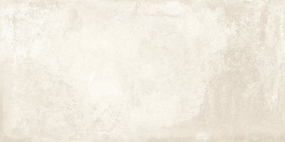 29868_large