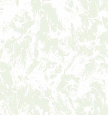 ЛИРФОН 04