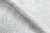 CAT_MACRO_PHOTOvImg_PL71858-41_(4)