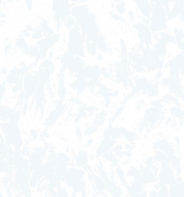 ЛИРФОН 01