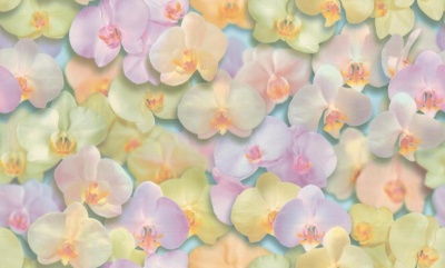 hc71421-35-oboi-palitra-homecolor-89520694-258066.1500x1500x1x