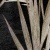b1bd13ea6511ee876ed0469bc4ccef42
