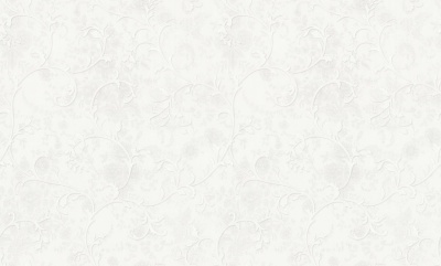 ZOOM2gPL72138-14