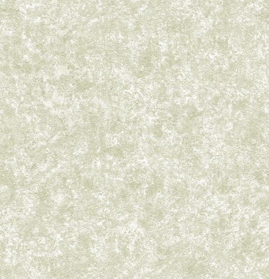 ПАОЛА ФОН 04