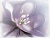 DWU07LIL023